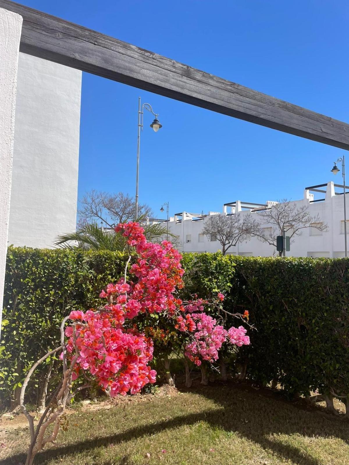 Apartament Casa Luisa Jardin 10 Condado De Alhama Alhama de Murcia Zewnętrze zdjęcie